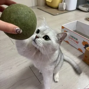 베스트 후기 이미지