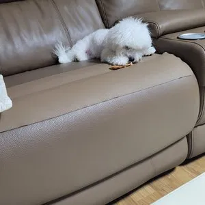 베스트 후기 이미지