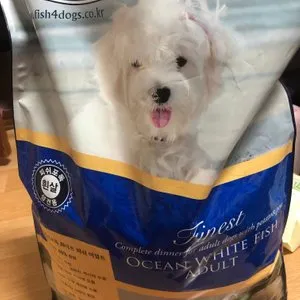 베스트 후기 이미지