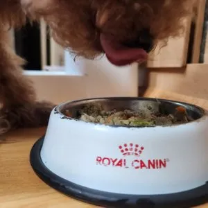 베스트 후기 이미지