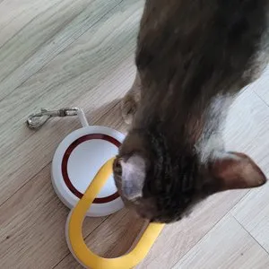 베스트 후기 이미지