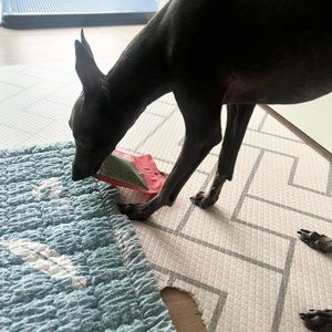 베스트 후기 이미지