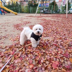 베스트 후기 이미지