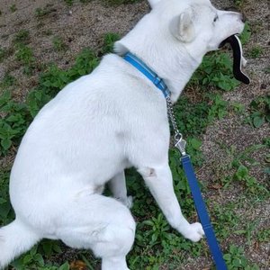 베스트 후기 이미지