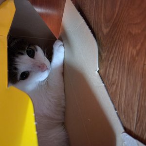 베스트 후기 이미지