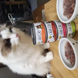 베스트 후기 이미지