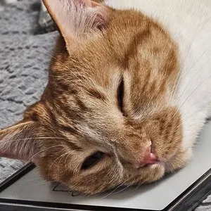 베스트 후기 이미지