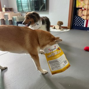 베스트 후기 이미지