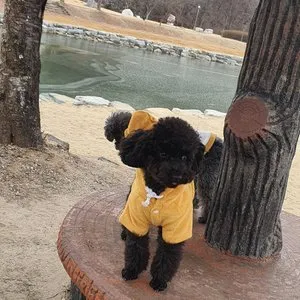 베스트 후기 이미지