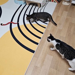 베스트 후기 이미지