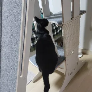 베스트 후기 이미지