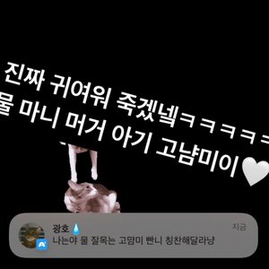 베스트 후기 이미지