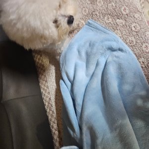 베스트 후기 이미지