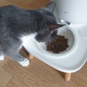 베스트 후기 이미지