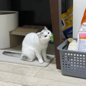 베스트 후기 이미지