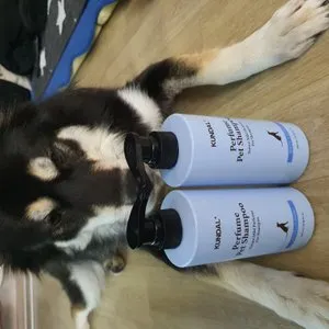 베스트 후기 이미지