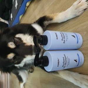 [무료배송] 쿤달 네이처 마일드 퍼퓸 애견샴푸 화이트런더리 500ml  베스트 후기 이미지