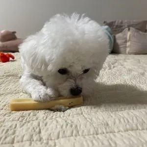 베스트 후기 이미지