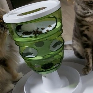 [웰컴딜] 하겐 캣잇 2.0 푸드트리 베스트 후기 이미지