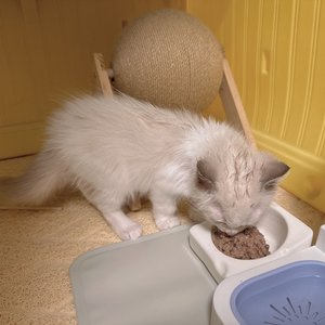 베스트 후기 이미지