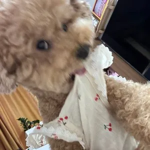 베스트 후기 이미지