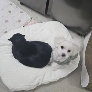 베스트 후기 이미지