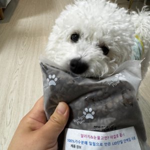 베스트 후기 이미지