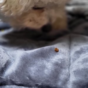 베스트 후기 이미지