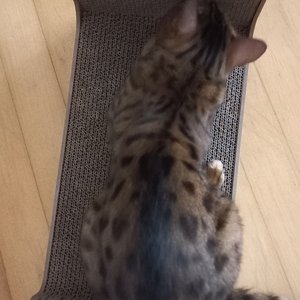베스트 후기 이미지