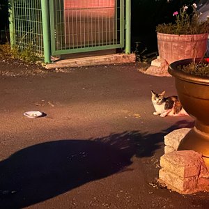 베스트 후기 이미지