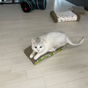 베스트 후기 이미지