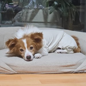 베스트 후기 이미지