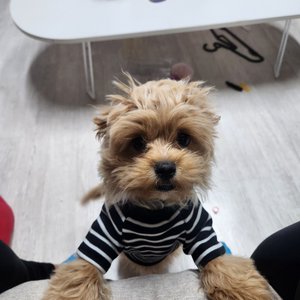 베스트 후기 이미지