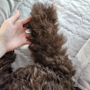 베스트 후기 이미지