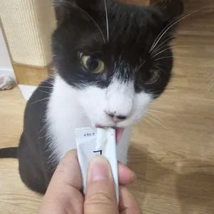 베스트 후기 이미지