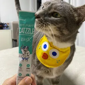 베스트 후기 이미지