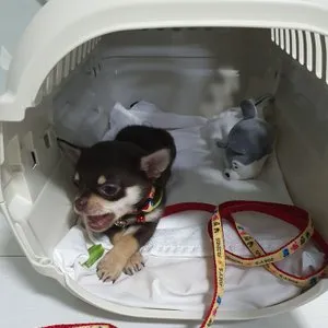 베스트 후기 이미지