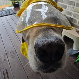 베스트 후기 이미지