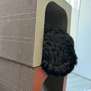 베스트 후기 이미지
