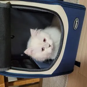 베스트 후기 이미지