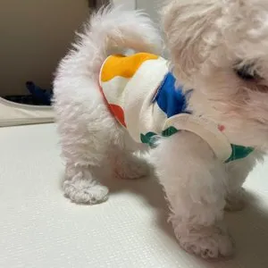 베스트 후기 이미지