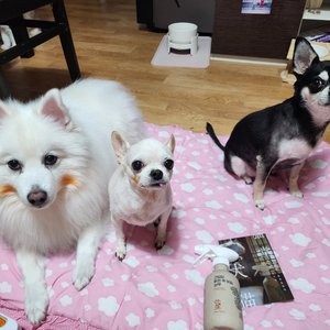 베스트 후기 이미지