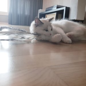 베스트 후기 이미지