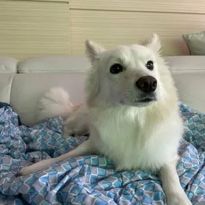 베스트 후기 이미지