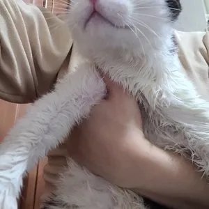 베스트 후기 이미지