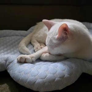 베스트 후기 이미지