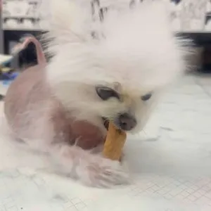 베스트 후기 이미지