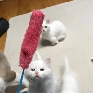 베스트 후기 이미지