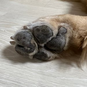 베스트 후기 이미지