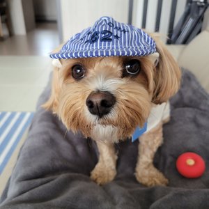 베스트 후기 이미지
